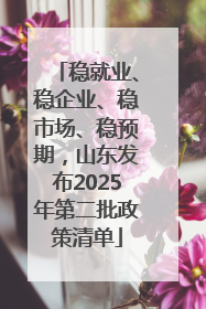 稳就业、稳企业、稳市场、稳预期，山东发布2025年第二批政策清单
