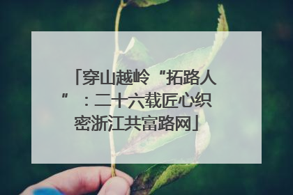 穿山越岭“拓路人”：二十六载匠心织密浙江共富路网