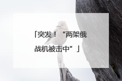 突发！“两架俄战机被击中”