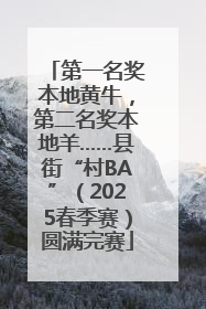 第一名奖本地黄牛，第二名奖本地羊……县街“村BA”（2025春季赛）圆满完赛