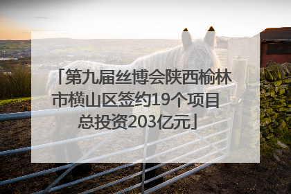 第九届丝博会陕西榆林市横山区签约19个项目 总投资203亿元