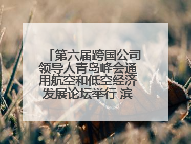 第六届跨国公司领导人青岛峰会通用航空和低空经济发展论坛举行 滨州市全方位推介低空经济发展优势