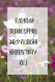 美特使：美国已开始减少在叙利亚的军事存在
