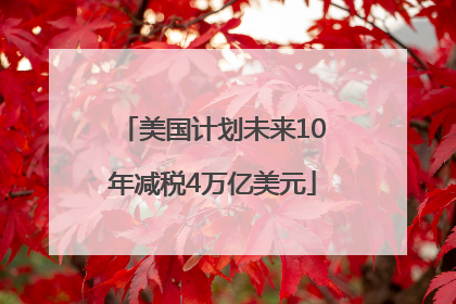 美国计划未来10年减税4万亿美元
