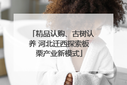 精品认购、古树认养 河北迁西探索板栗产业新模式
