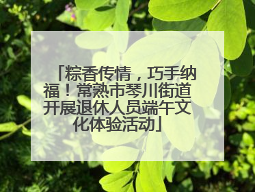 粽香传情，巧手纳福！常熟市琴川街道开展退休人员端午文化体验活动