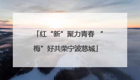 红“新”聚力青春 “梅”好共荣宁波慈城