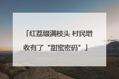 红荔缀满枝头 村民增收有了“甜蜜密码”