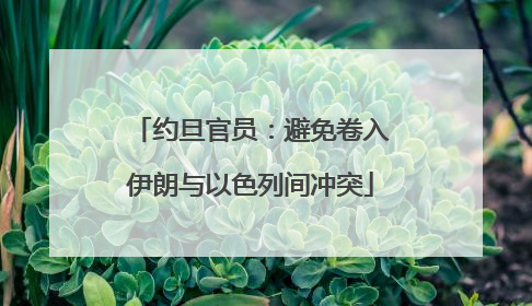 约旦官员：避免卷入伊朗与以色列间冲突