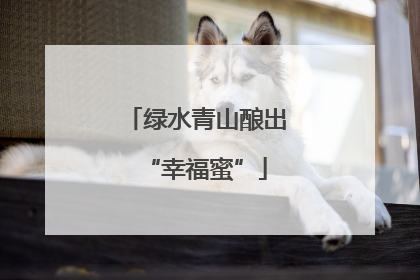 绿水青山酿出“幸福蜜”