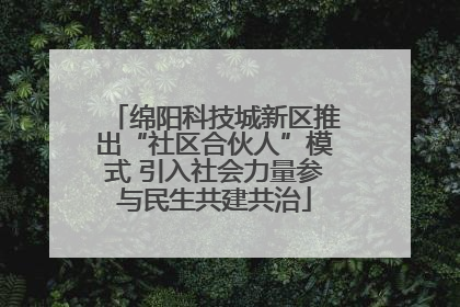 绵阳科技城新区推出“社区合伙人”模式 引入社会力量参与民生共建共治
