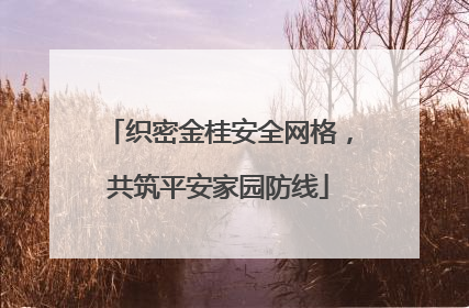 织密金桂安全网格，共筑平安家园防线