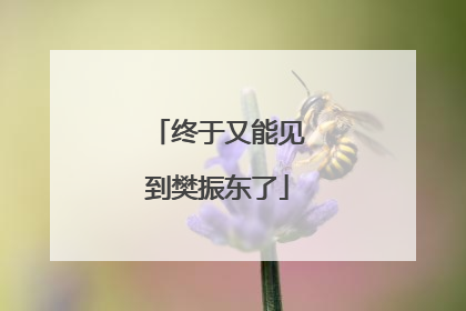 终于又能见到樊振东了