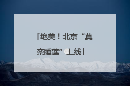 绝美！北京“莫奈睡莲”上线