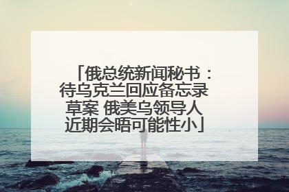 俄总统新闻秘书：待乌克兰回应备忘录草案 俄美乌领导人近期会晤可能性小
