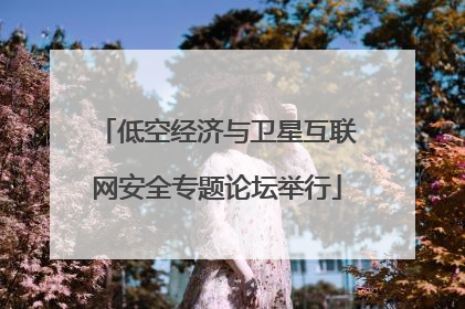 低空经济与卫星互联网安全专题论坛举行