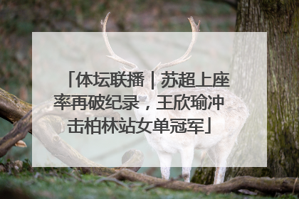 体坛联播｜苏超上座率再破纪录，王欣瑜冲击柏林站女单冠军