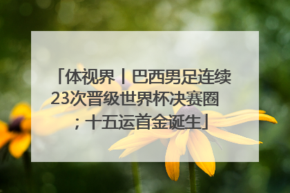 体视界丨巴西男足连续23次晋级世界杯决赛圈；十五运首金诞生