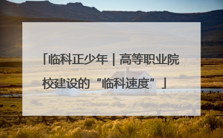 临科正少年｜高等职业院校建设的“临科速度”