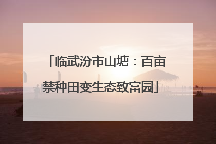 临武汾市山塘：百亩禁种田变生态致富园