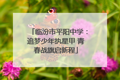 临汾市平阳中学：追梦少年执星甲 青春战旗启新程