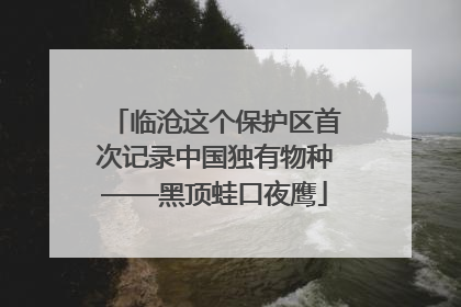 临沧这个保护区首次记录中国独有物种——黑顶蛙口夜鹰