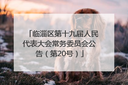 临淄区第十九届人民代表大会常务委员会公告（第20号）