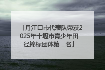 丹江口市代表队荣获2025年十堰市青少年田径锦标团体第一名