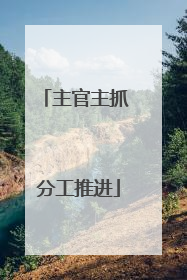 主官主抓 分工推进