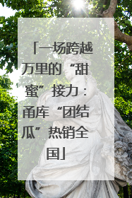 一场跨越万里的“甜蜜”接力：甬库“团结瓜”热销全国