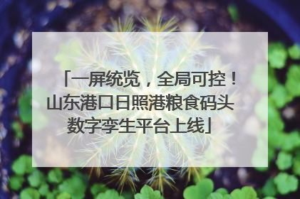 一屏统览，全局可控！山东港口日照港粮食码头数字孪生平台上线