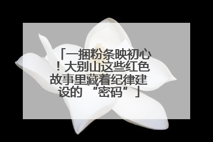 一捆粉条映初心！大别山这些红色故事里藏着纪律建设的 “密码”