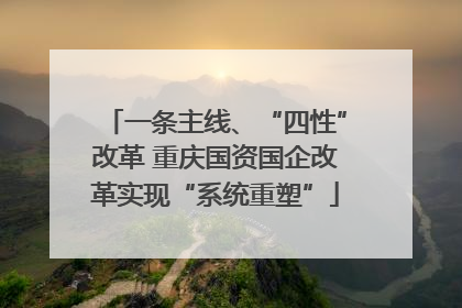 一条主线、“四性”改革 重庆国资国企改革实现“系统重塑”