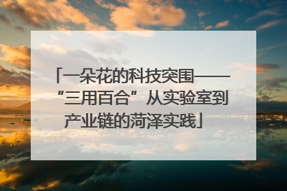 一朵花的科技突围——“三用百合”从实验室到产业链的菏泽实践