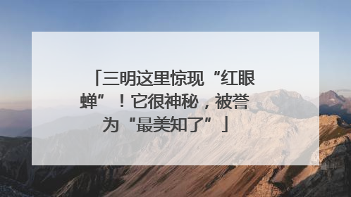 三明这里惊现“红眼蝉”！它很神秘，被誉为“最美知了”