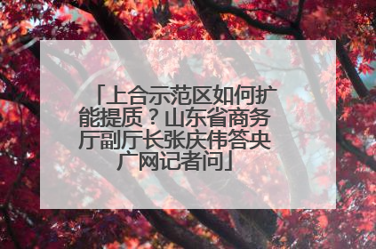 上合示范区如何扩能提质？山东省商务厅副厅长张庆伟答央广网记者问