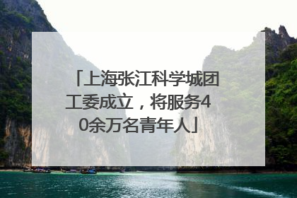 上海张江科学城团工委成立，将服务40余万名青年人