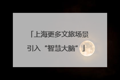上海更多文旅场景引入“智慧大脑”