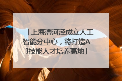 上海漕河泾成立人工智能分中心，将打造AI技能人才培养高地