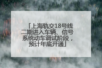 上海轨交18号线二期进入车辆、信号系统动车调试阶段，预计年底开通