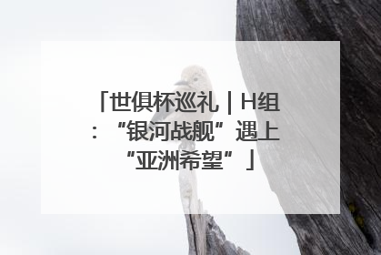 世俱杯巡礼｜H组：“银河战舰”遇上“亚洲希望”