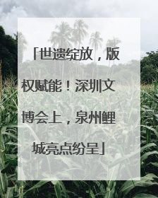 世遗绽放，版权赋能！深圳文博会上，泉州鲤城亮点纷呈