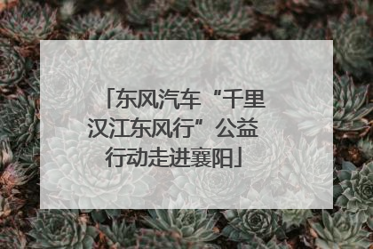 东风汽车“千里汉江东风行”公益行动走进襄阳