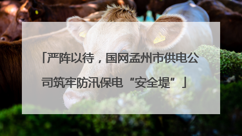 严阵以待，国网孟州市供电公司筑牢防汛保电“安全堤”