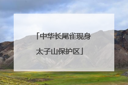 中华长尾雀现身太子山保护区