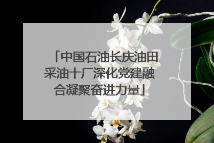 中国石油长庆油田采油十厂深化党建融合凝聚奋进力量