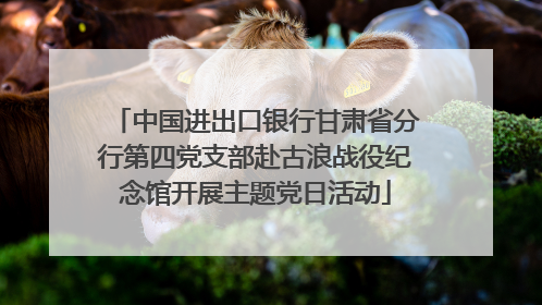 中国进出口银行甘肃省分行第四党支部赴古浪战役纪念馆开展主题党日活动