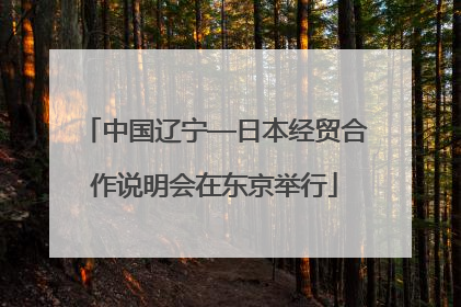 中国辽宁—日本经贸合作说明会在东京举行