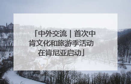 中外交流｜首次中肯文化和旅游季活动在肯尼亚启动