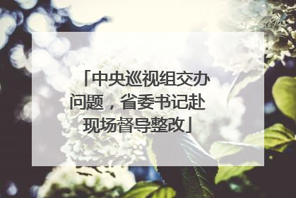 中央巡视组交办问题，省委书记赴现场督导整改
